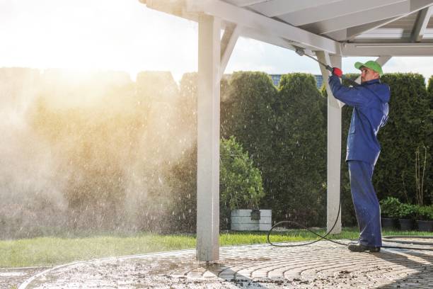 Best Sidewalk and Walkway Cleaning  in Cincinnati, OH